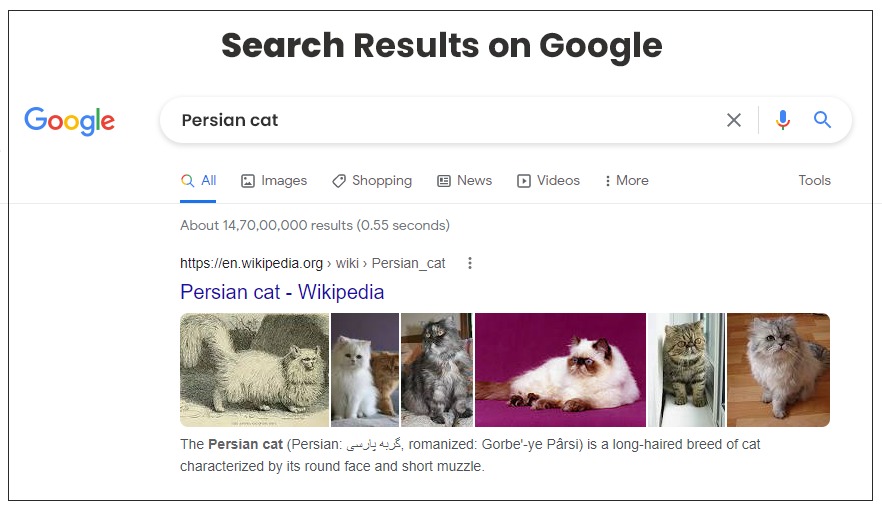 Search Results on Google